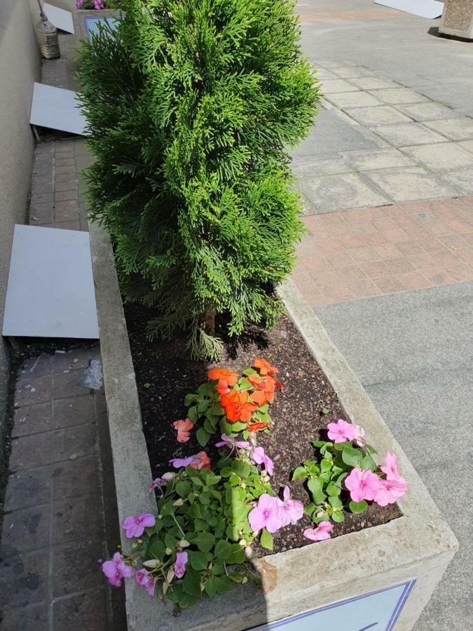 Apartment Resavska Bělehrad Exteriér fotografie
